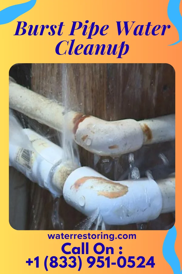 Burst Pipe Water Cleanup in McKeesport, PA