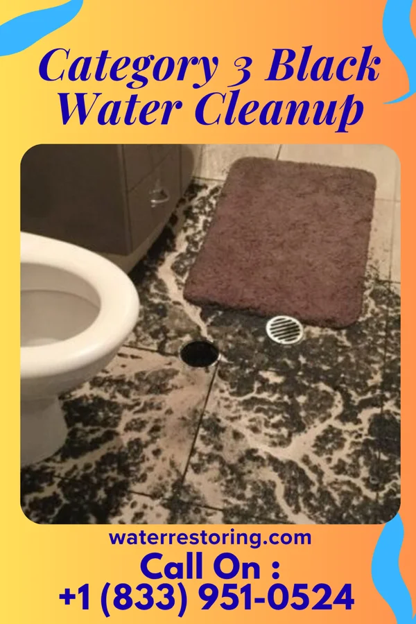 Category 3 Black Water Cleanup in McKeesport, PA