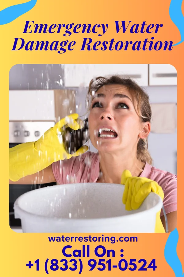 Emergency Water Damage Restoration in McKeesport, PA
