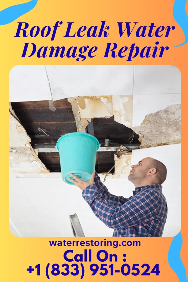 Roof Leak Water Damage Repair in McKeesport, PA
