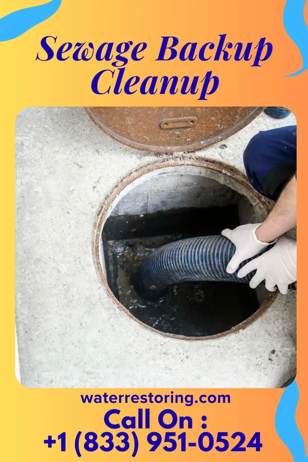 Sewage Backup Cleanup in McKeesport, PA