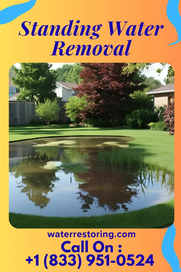 Standing Water Removal in McKeesport, PA